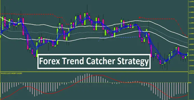 Trend following forex