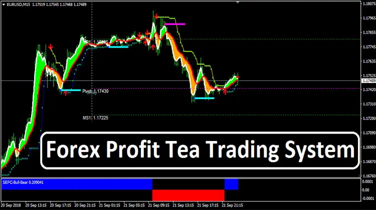 How much profit in forex trading