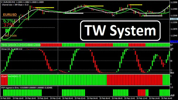TW System