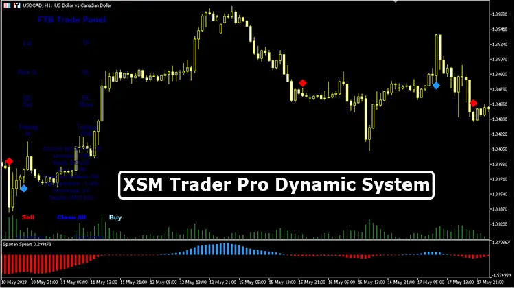 XSM-Trader-Pro-Dynamic-System-Overview